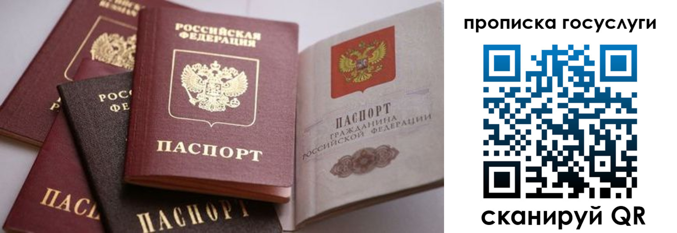 прописка иностранных граждан в Осташкове